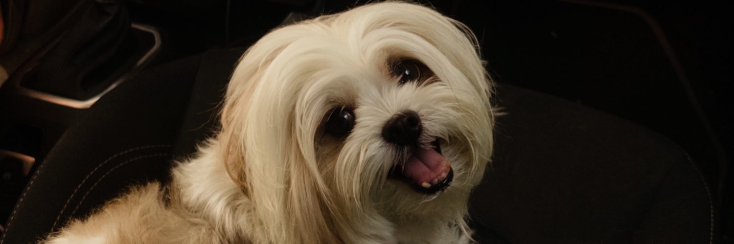 julyaaara's profile banner image