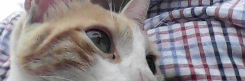 luchitoapunta's profile banner image
