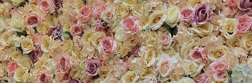 hayanisanuri's profile banner image