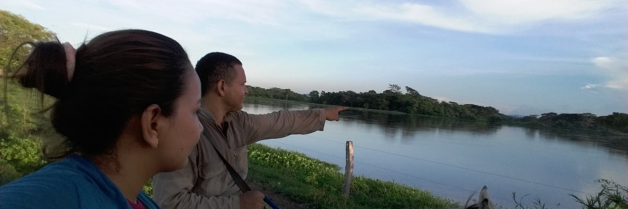 EdMieleZ's profile banner image