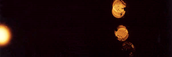 Adrian Thomas banner