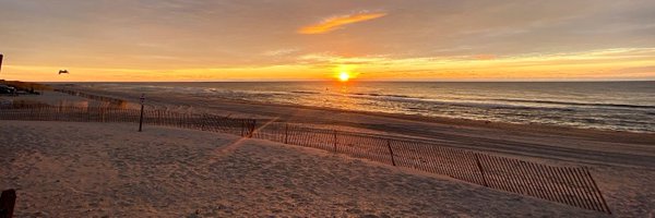 hamptonsliz Profile Banner