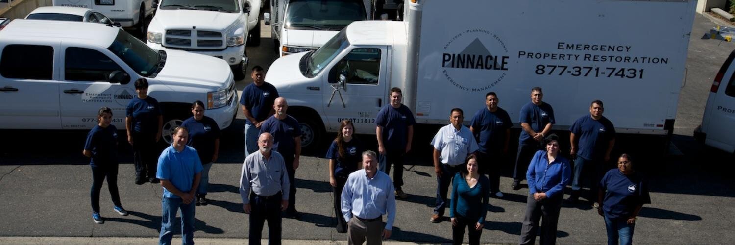 pinnacle411's profile banner image