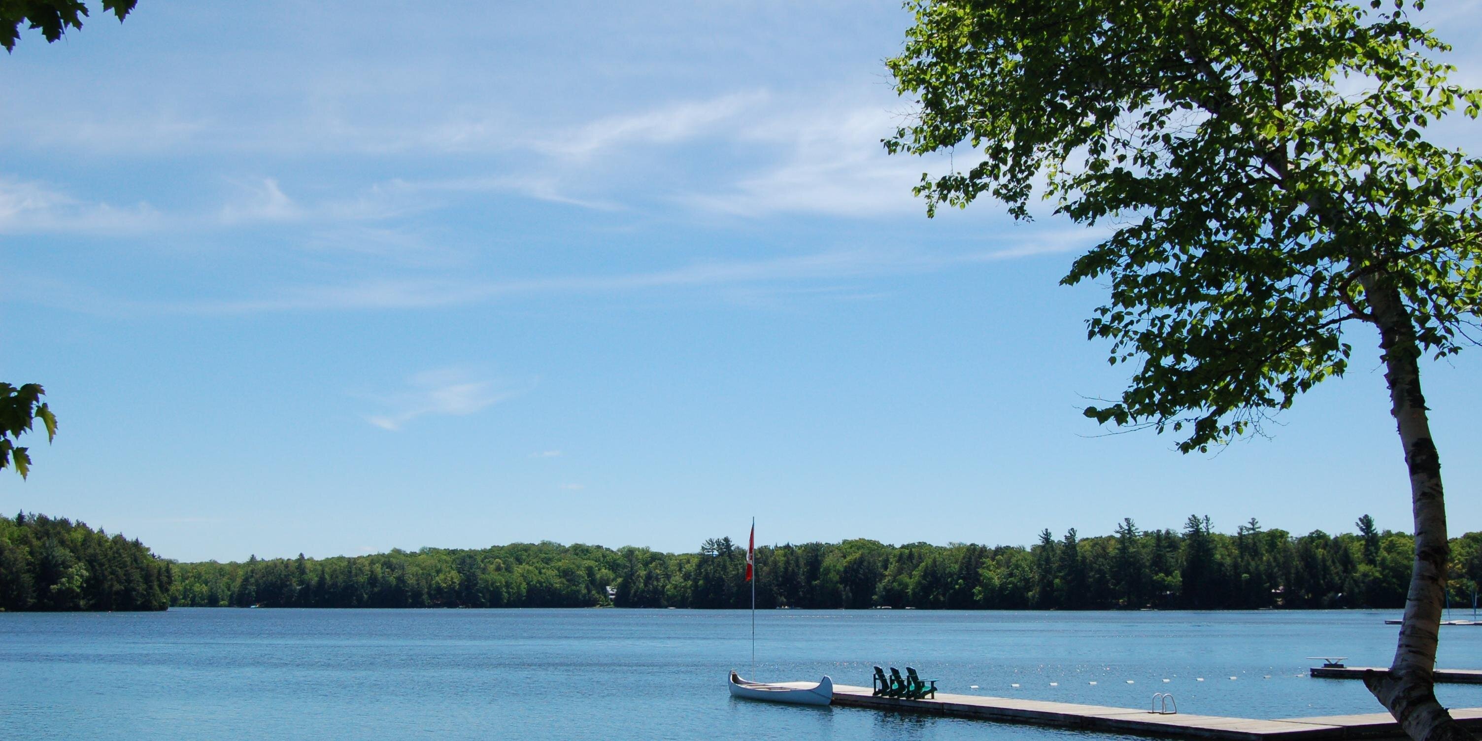 Stephanie Jacklin banner