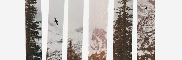 DaanhShots's profile banner image
