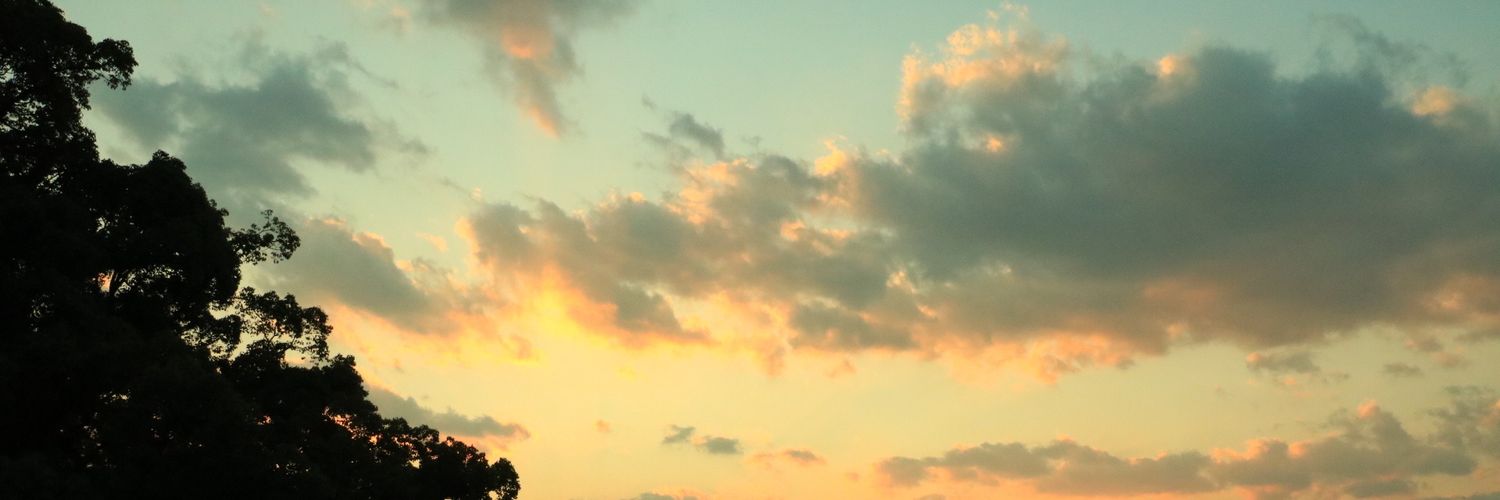 hi_ryoo's profile banner image