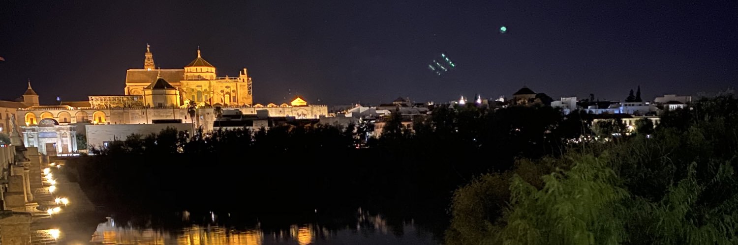 DomingoSuarezS's profile banner image