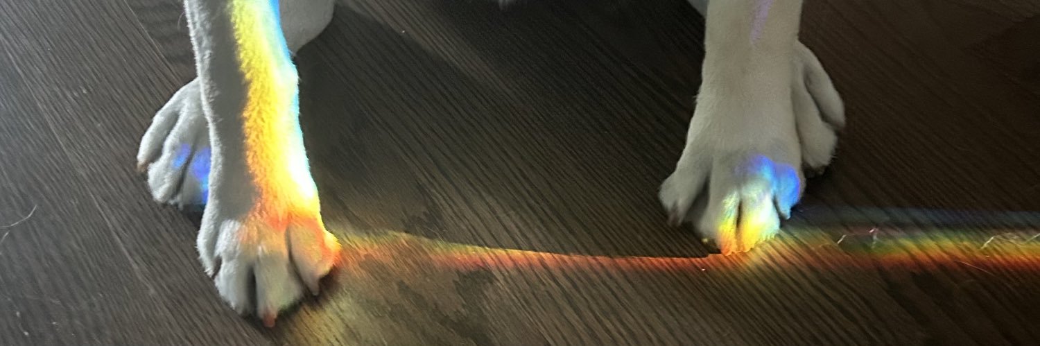 samwiitchhh's profile banner image