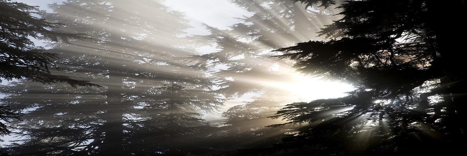 mrhrmichael's profile banner image