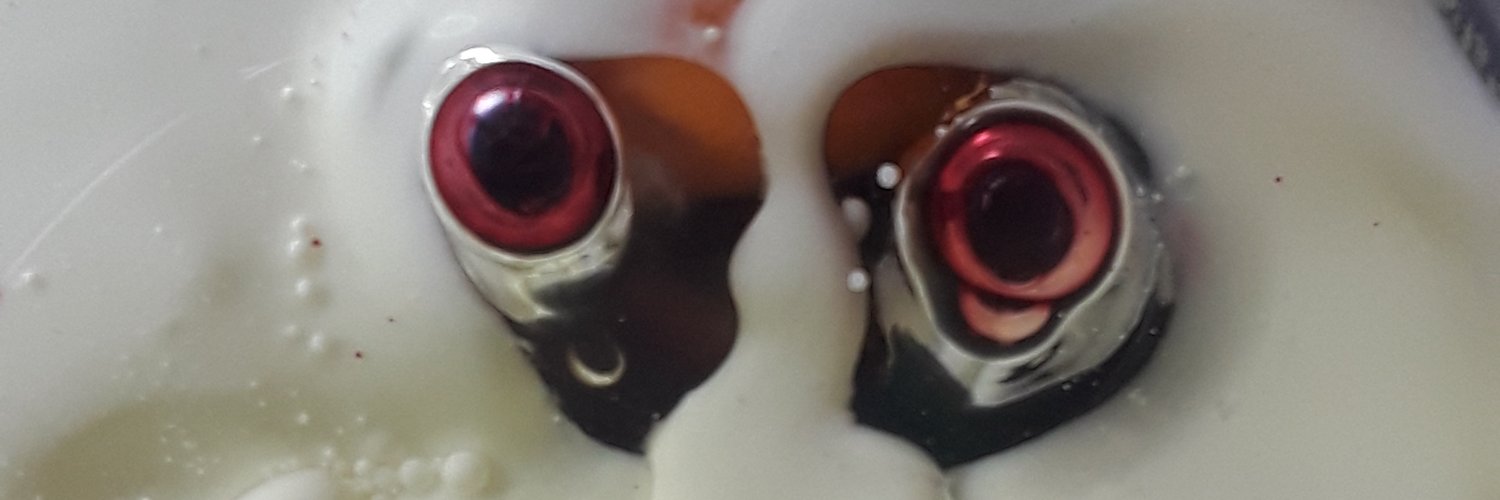 dialtieri's profile banner image
