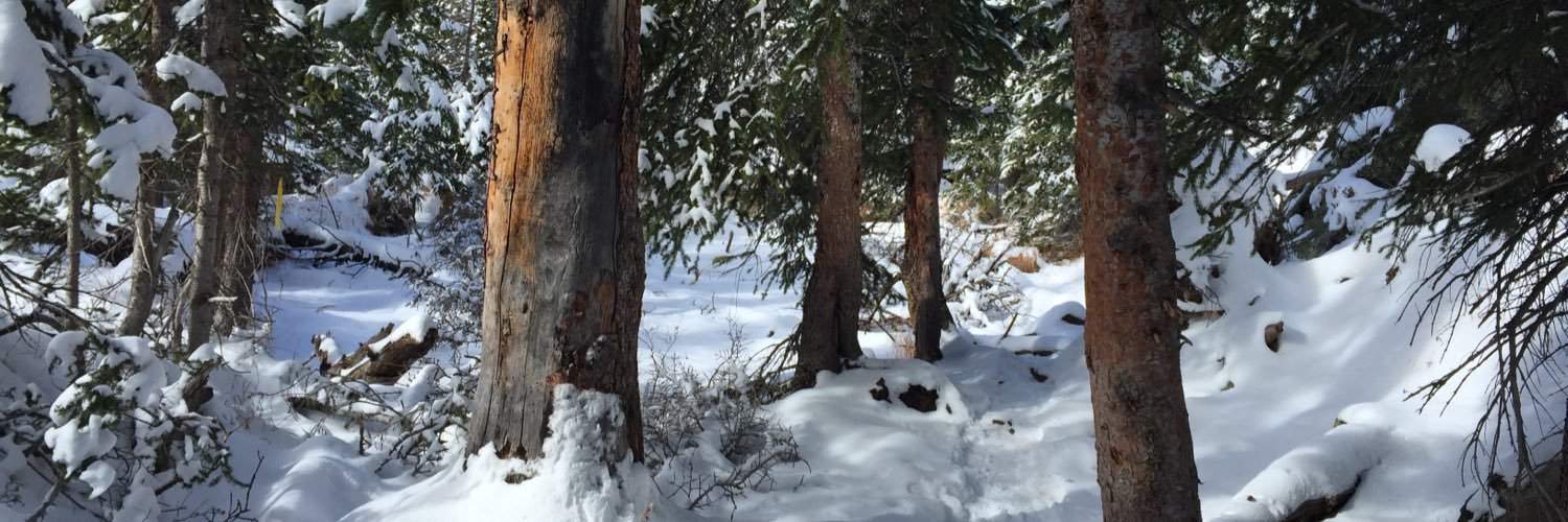 andyjaywenzel's profile banner image
