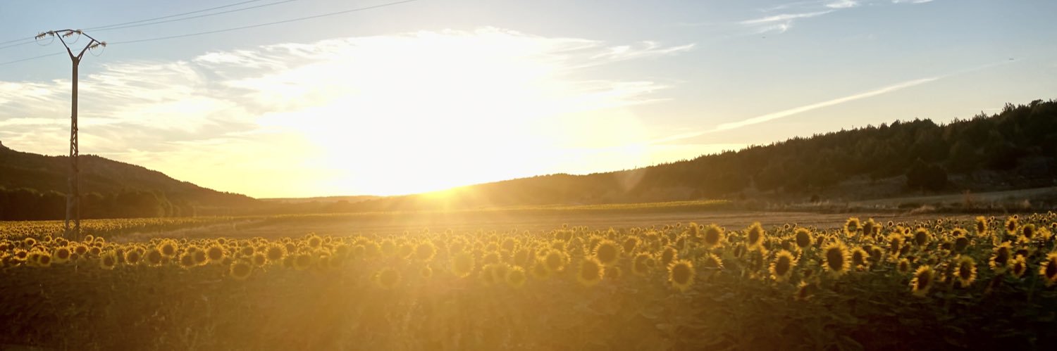 rousdlvalle's profile banner image