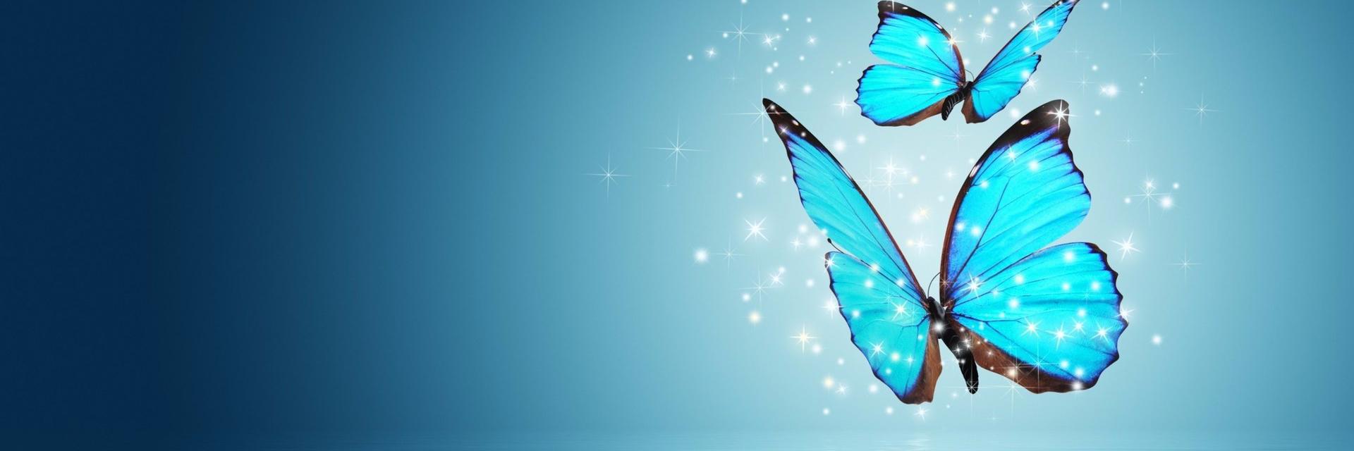 Lischaconp's profile banner image