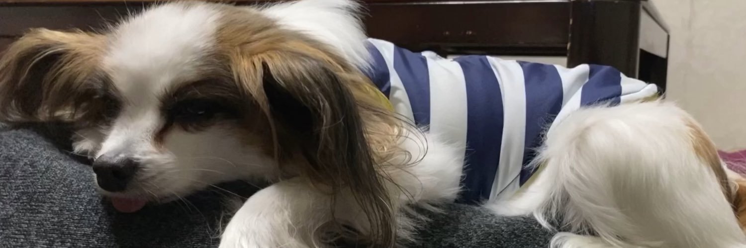 小見 朋生 banner