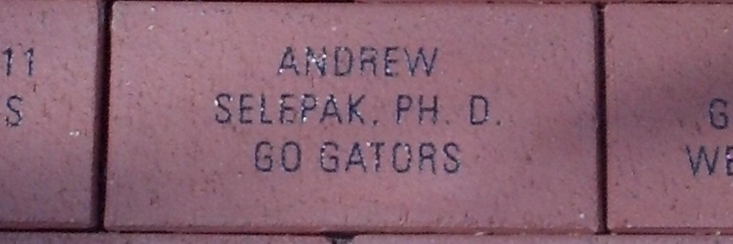 Andrew Selepak banner