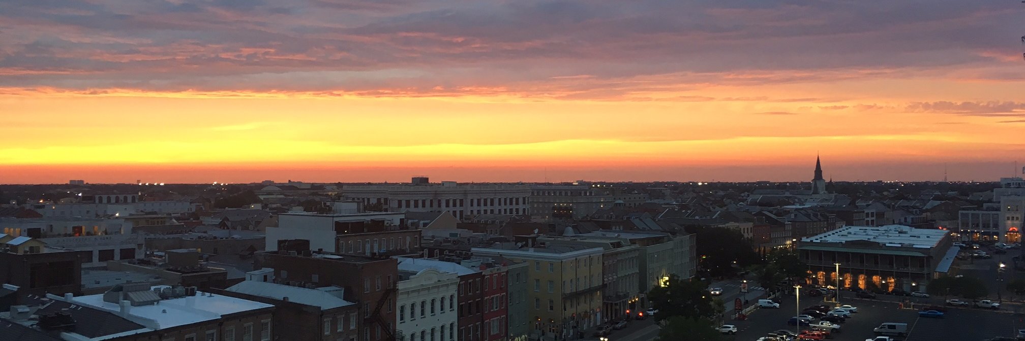 Diana Samuels banner