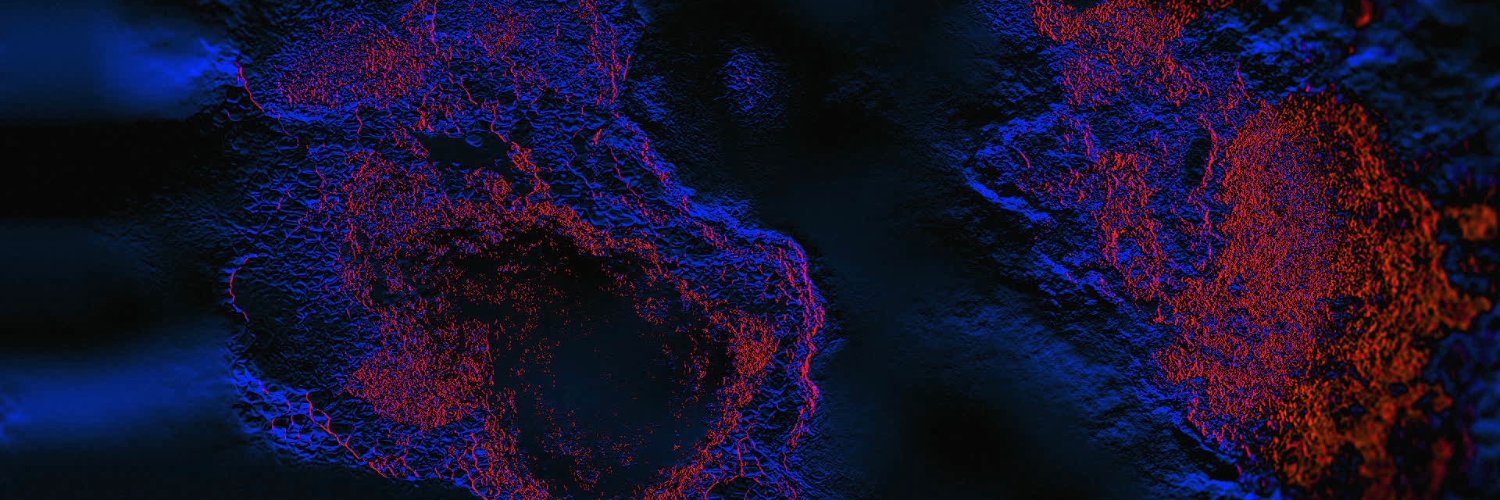 Nicolas MICHEL banner