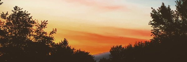 h0ckeydude12 Profile Banner