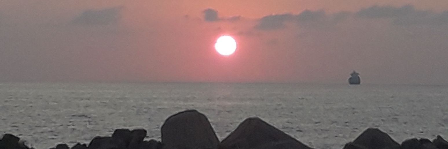 Antonio Sanchez banner