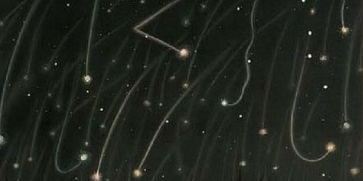 Amy Brinker banner