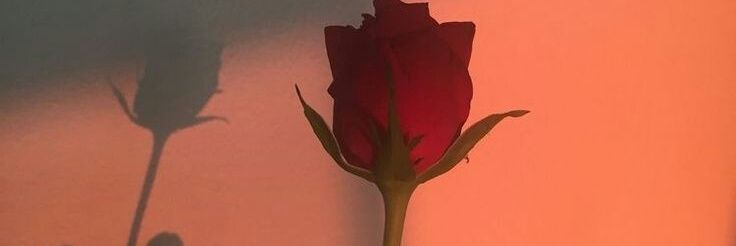 deanrvng's profile banner image