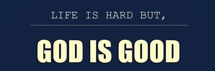 salcedogidget's profile banner image