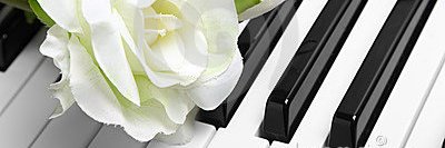 MIRNALMB's profile banner image