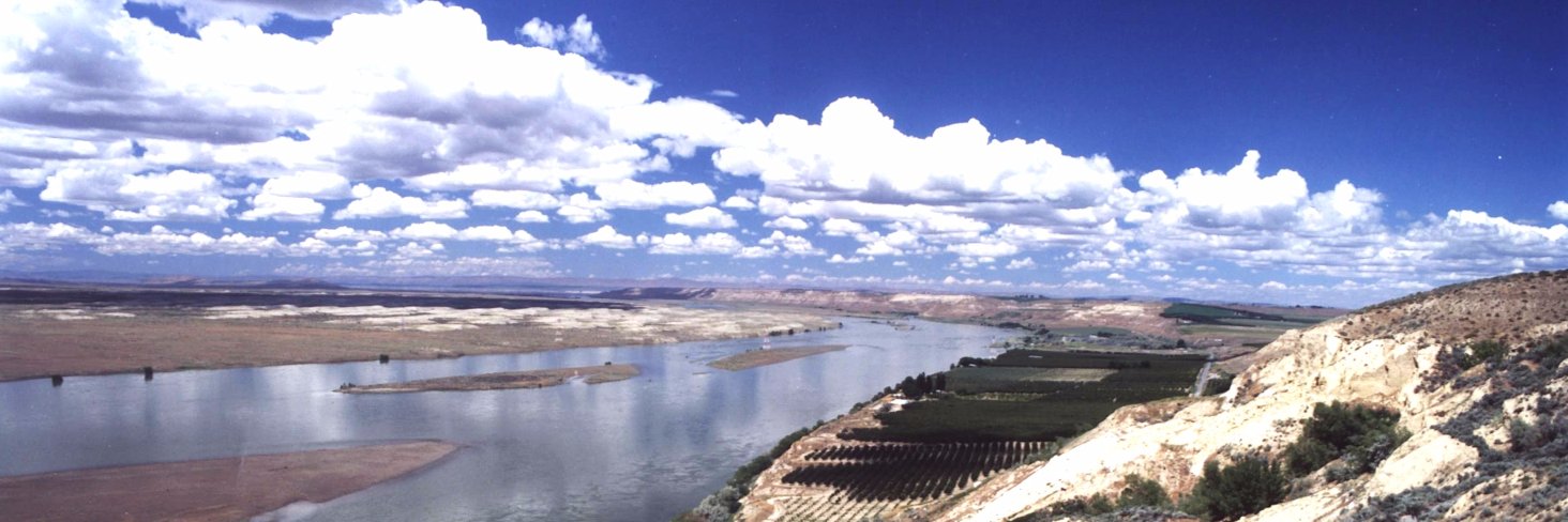 Claar Cellars banner