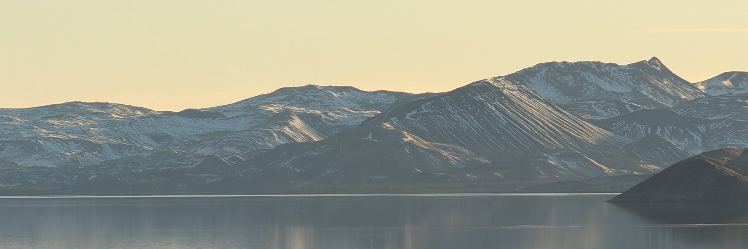 Diego Sánchez banner