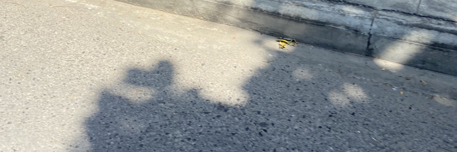 ploybob🛋🧸 banner