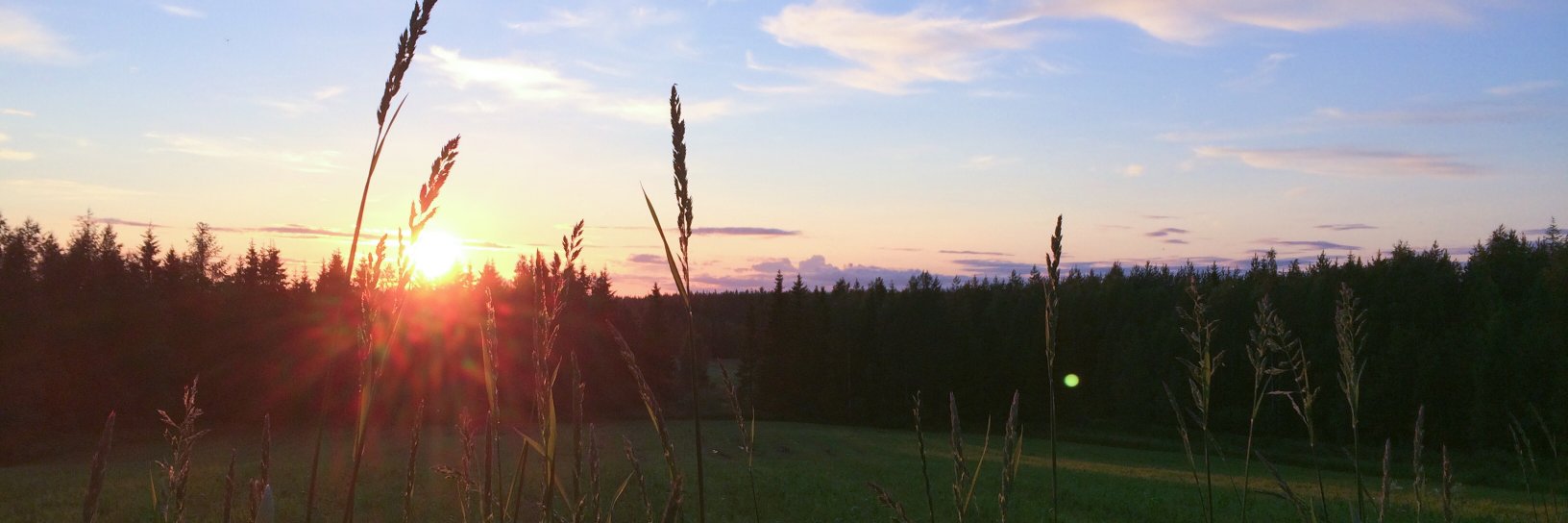peppij's profile banner image