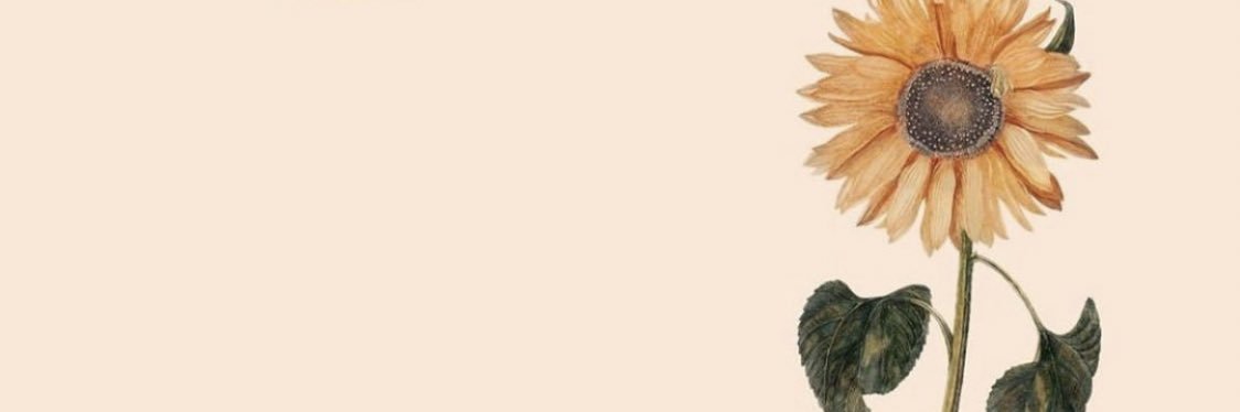 zoedull's profile banner image