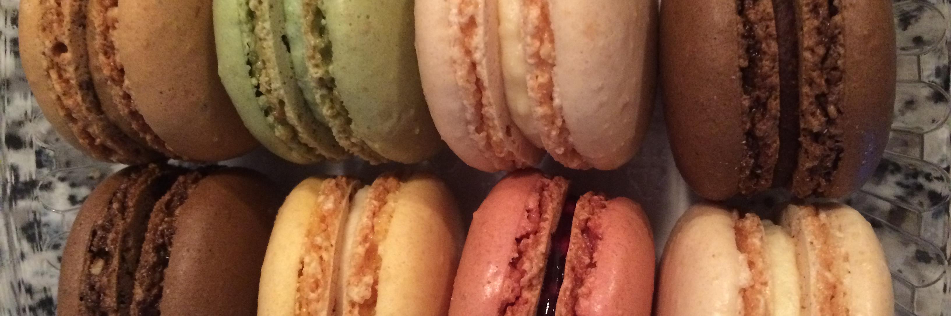 Kati McCartney banner