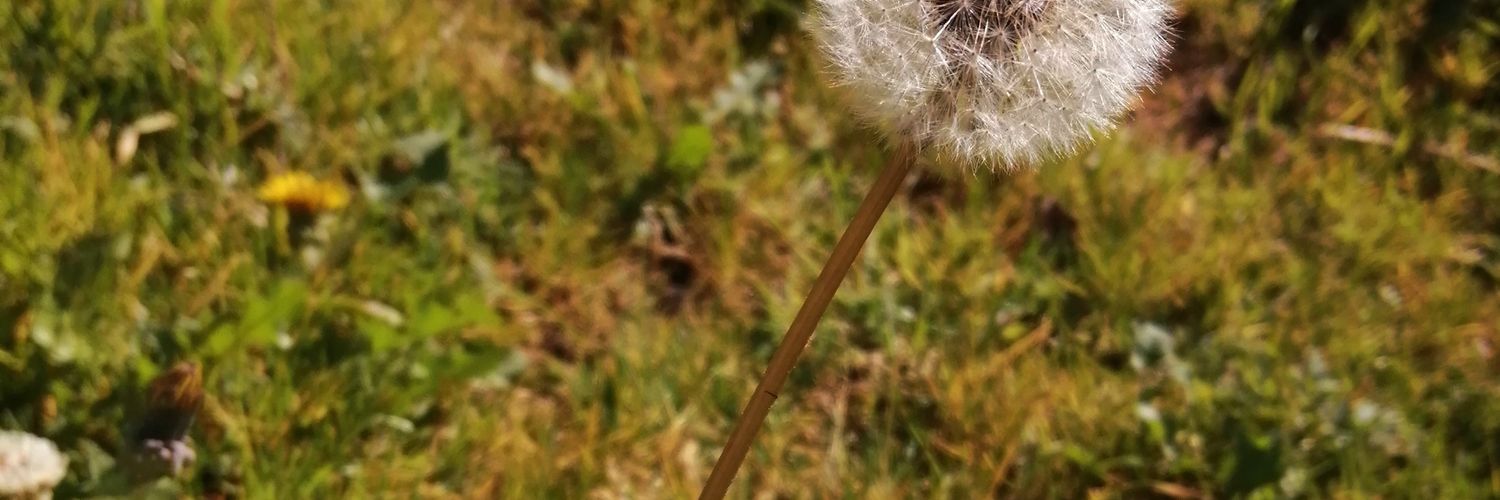 i_luzh's profile banner image