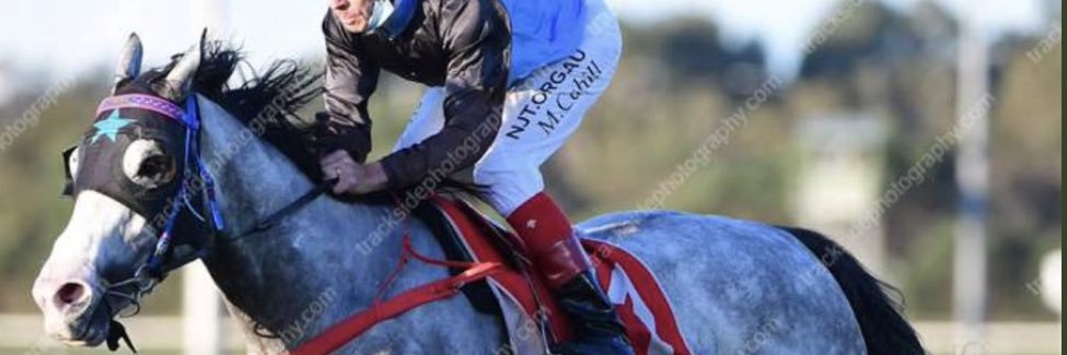 Garred Birrell banner