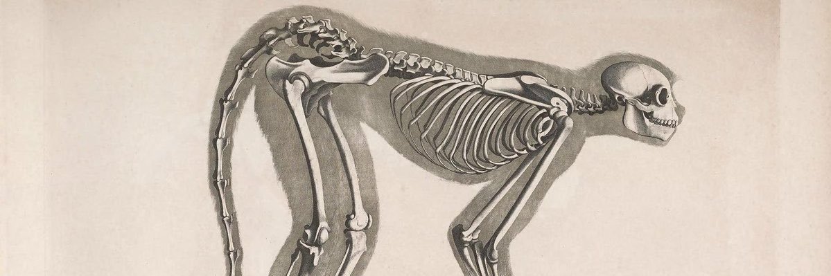 madsimian's profile banner image