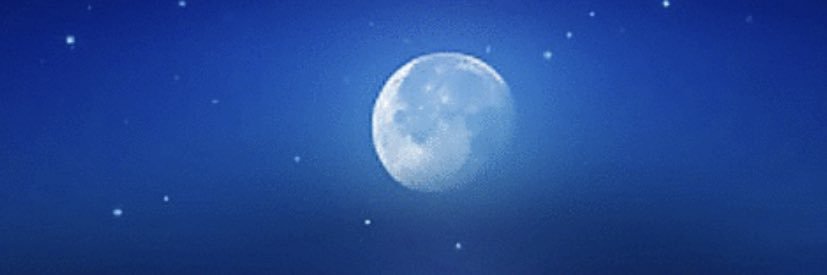 toradora_11's profile banner image