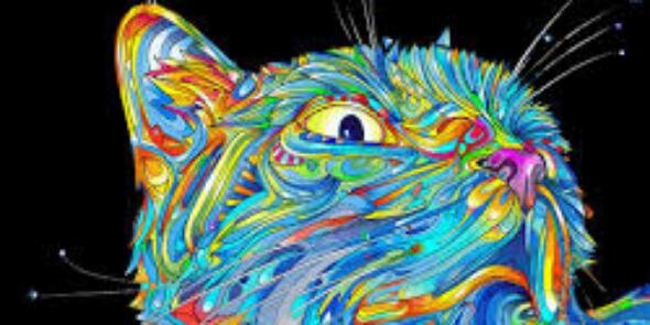 bezaocalixto's profile banner image