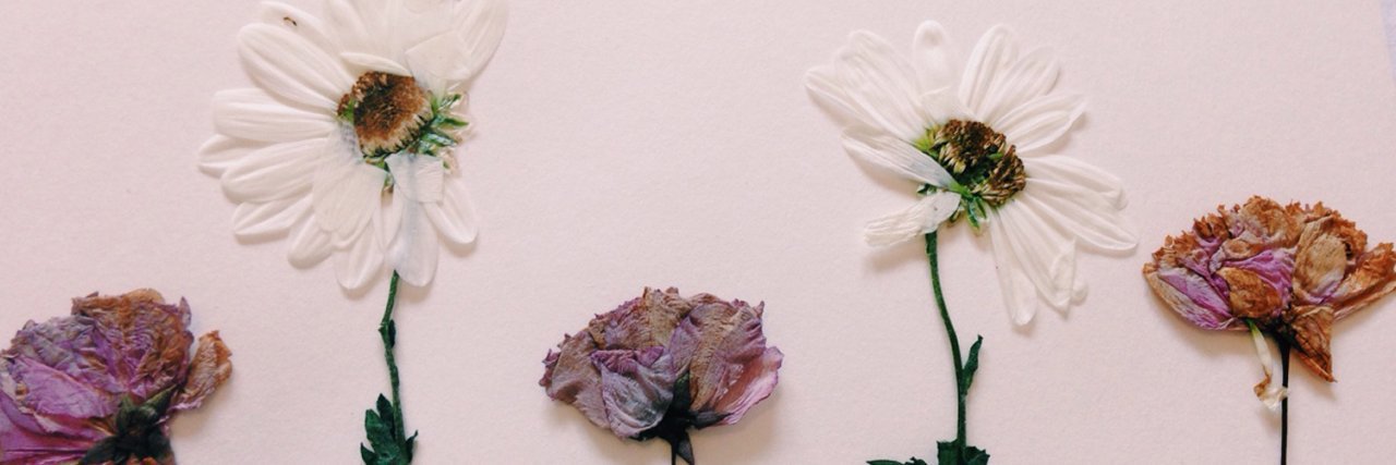 aphroditeauni's profile banner image