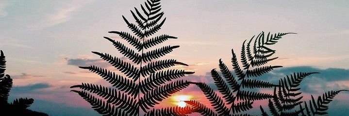 ValeGomez_8's profile banner image