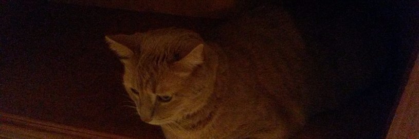 Colin D Smith banner