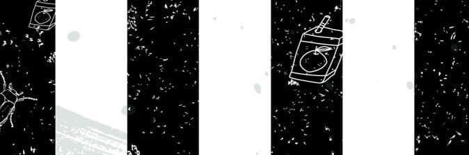 ⚡Isis banner