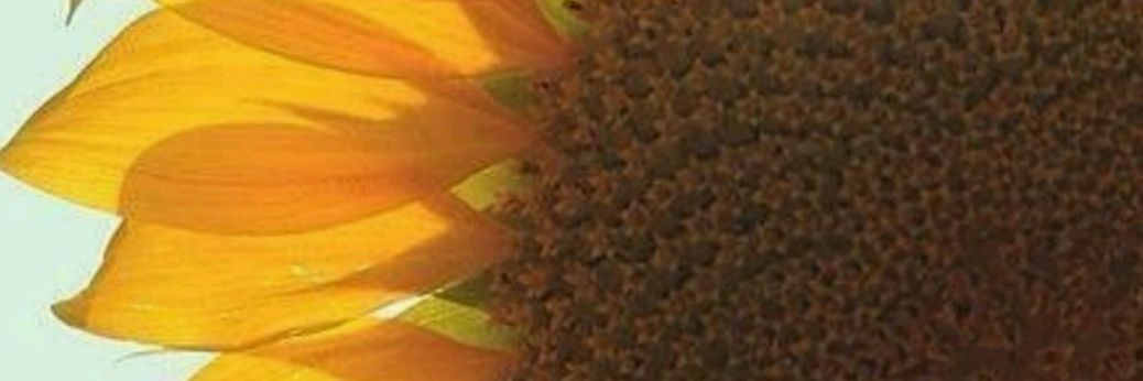 RaKaO's profile banner image