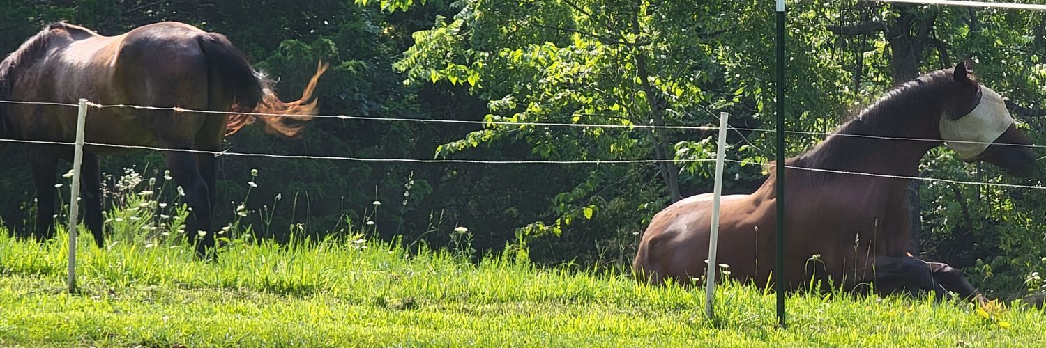 M89rock's profile banner image