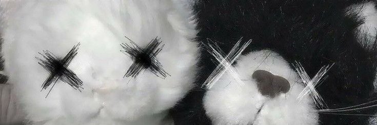 fuppywup's profile banner image