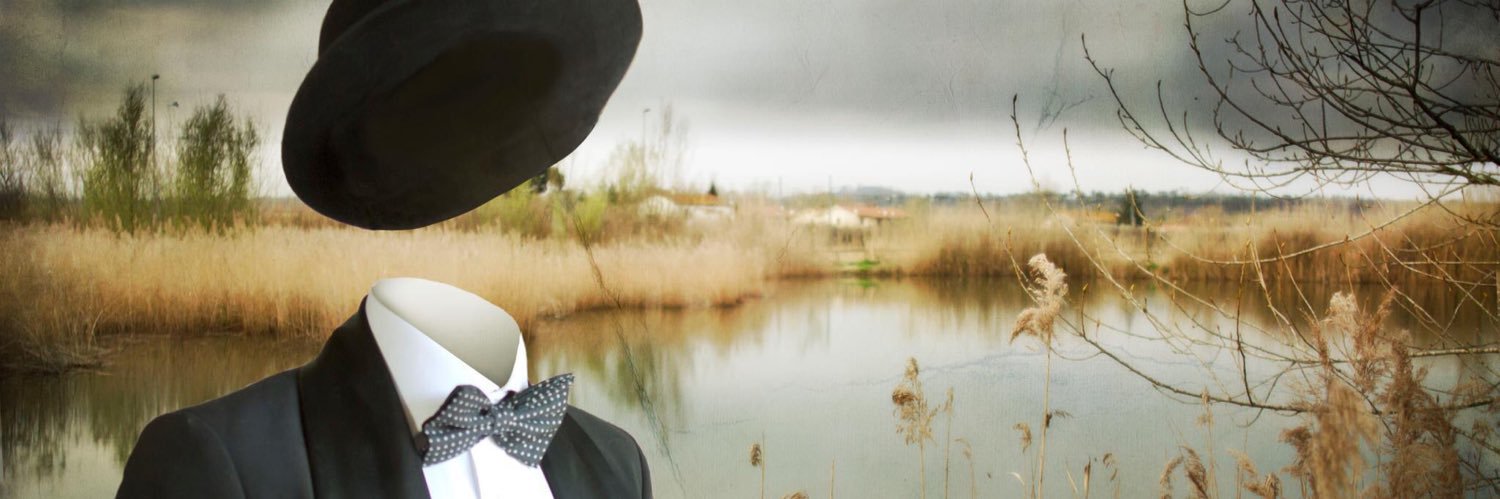 sartoti's profile banner image