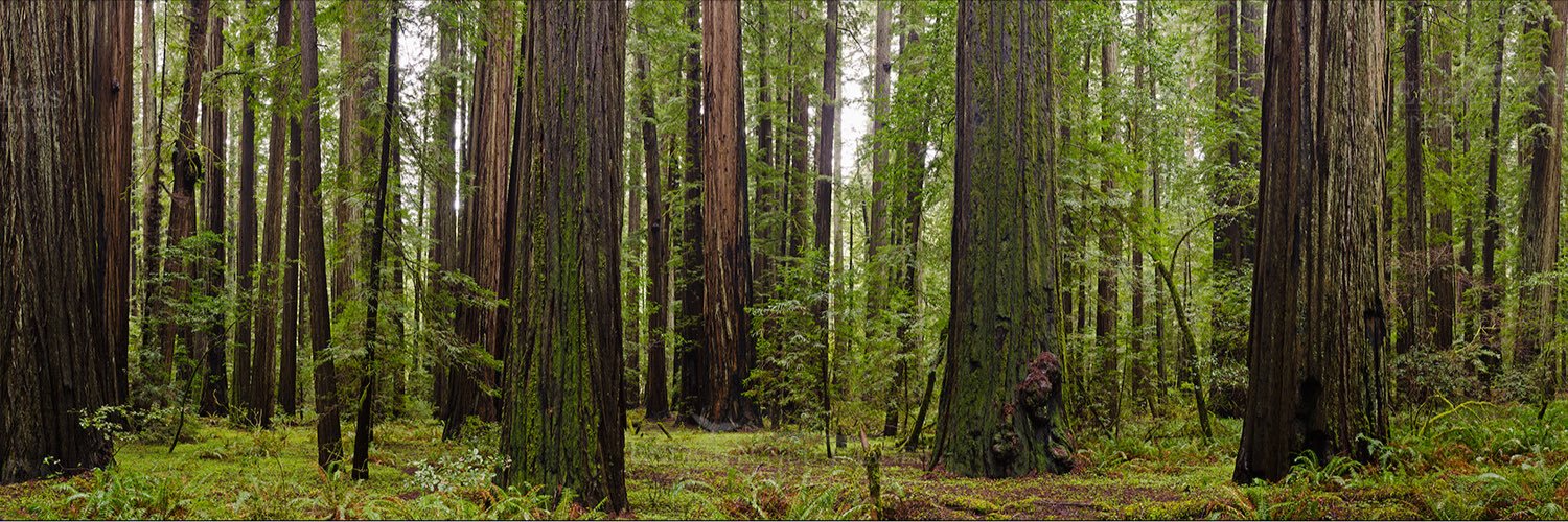 Raymond "RJ" Jones banner