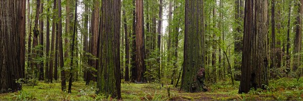 RrrrrJ Profile Banner