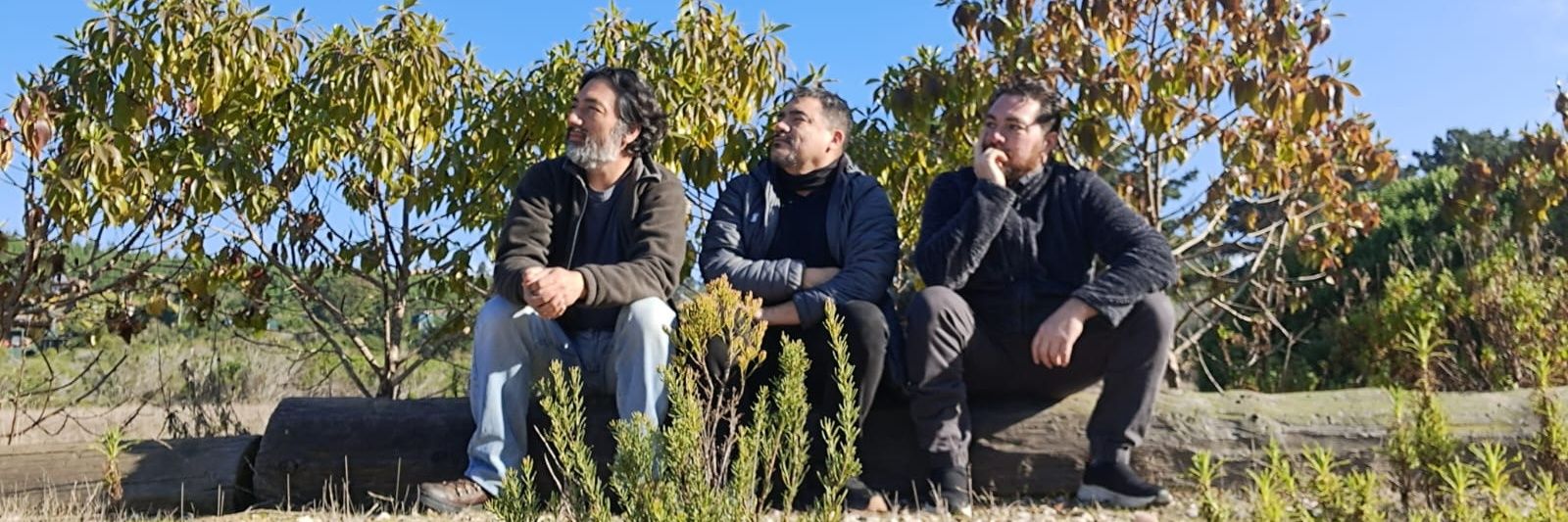 Los Sillas Musicales banner