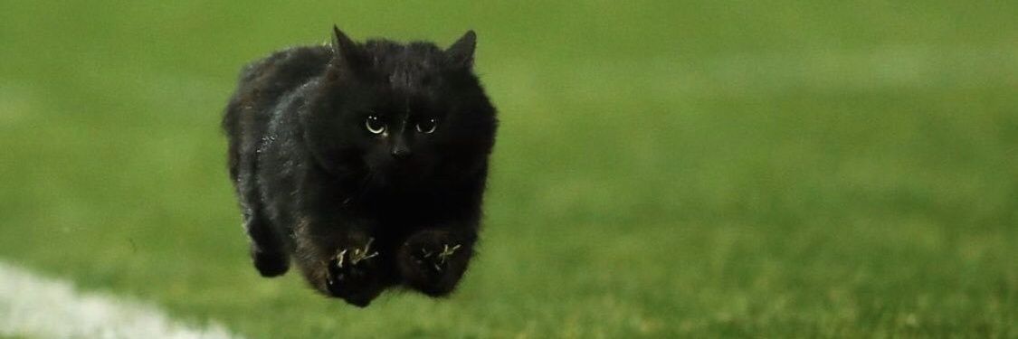 WontonJawn's profile banner image